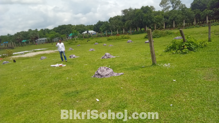 জমি বিক্রয়